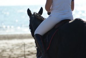 What to Do When You’re Riding for the First Time What to Do When You’re Riding for the First Time