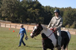 Can Horses Help Veterans With PTSD? Can Horses Help Veterans With PTSD?