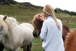 Horses as Therapists Horses as Therapists