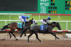 Top 5 Epic Moments in Horse Racing History Top 5 Epic Moments in Horse Racing History